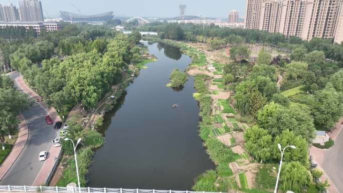 临沂南坊柳青河景观打造 城市绿化沿河公园