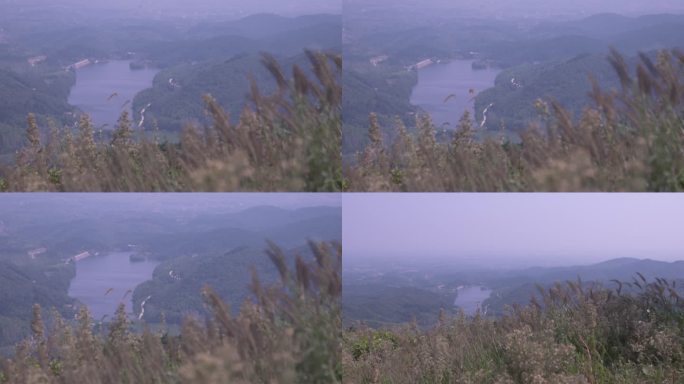 大山农村风景