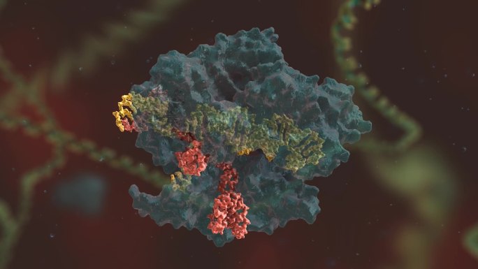 基因编辑 DNA 基因工程 基因重组