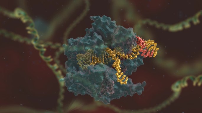 基因编辑 DNA 基因工程 微观生物学
