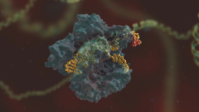 基因编辑 DNA 基因工程 医药生物