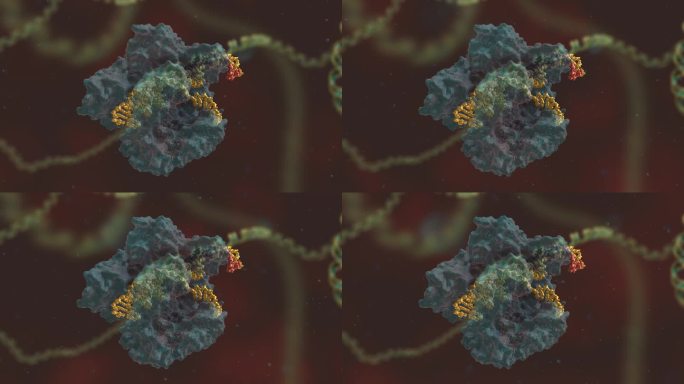 基因编辑 DNA 基因工程 医药生物