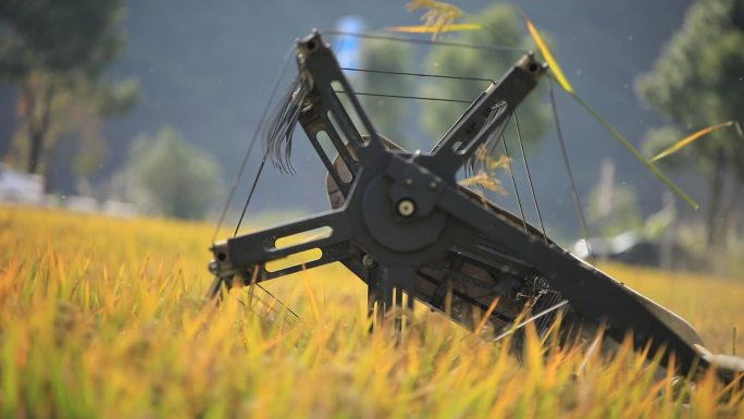 【原创】高清实拍收割机割稻子机械化生产