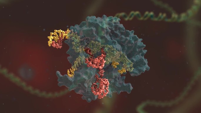 研究成果 基因编辑 DNA 基因工程