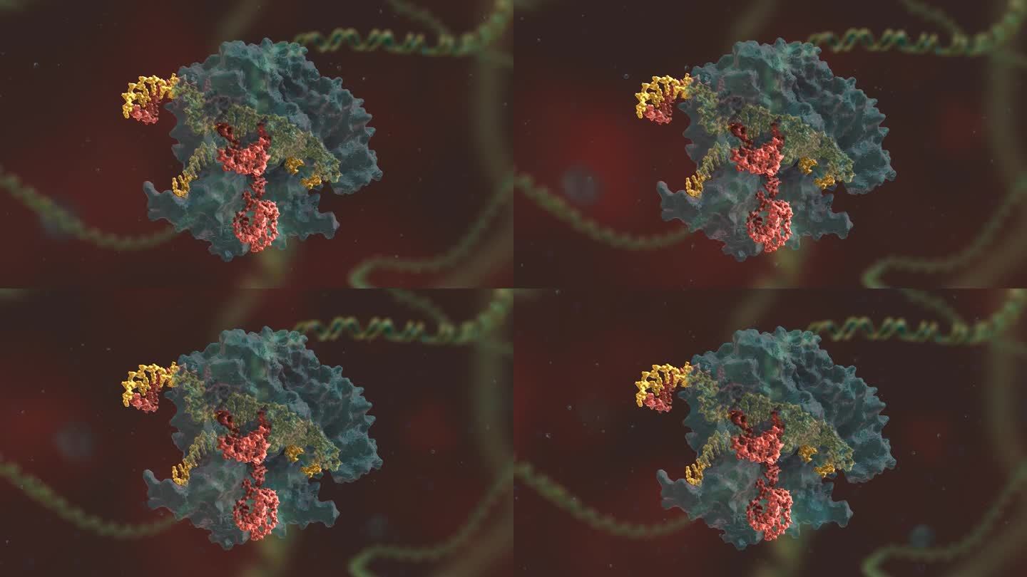 研究成果 基因编辑 DNA 基因工程