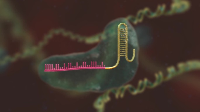 基因编辑 DNA 基因工程 医学三维动画