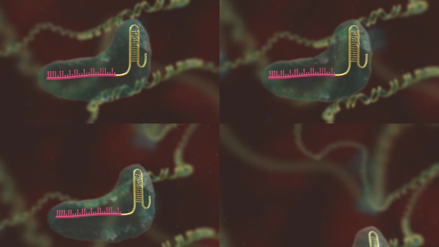 基因编辑 DNA 基因工程 医学三维动画