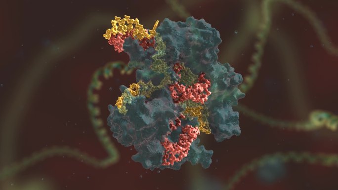 染色体 基因编辑 DNA 基因工程