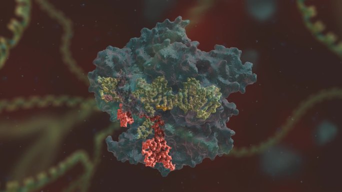 基因编辑 DNA 基因工程 DNA编码