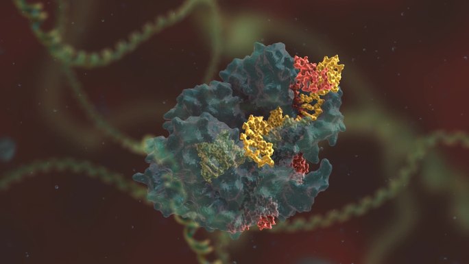 基因编辑 DNA 基因工程 基因遗传