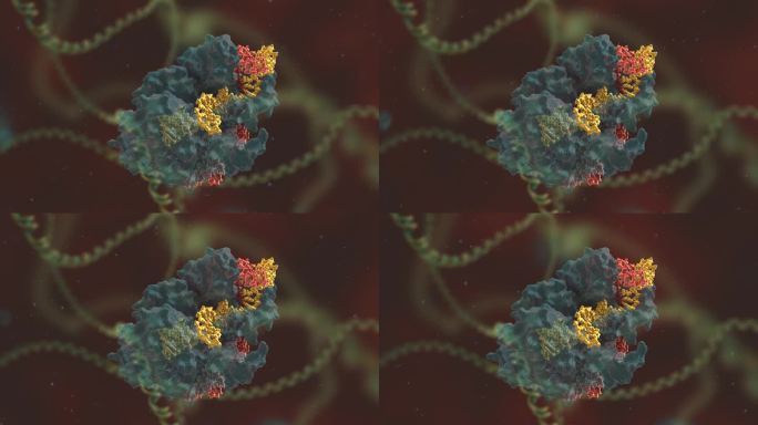 基因编辑 DNA 基因工程 基因遗传