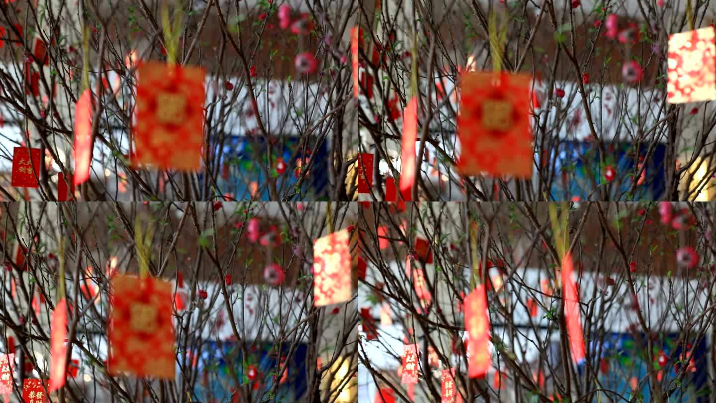 春节树上挂着红包红包树