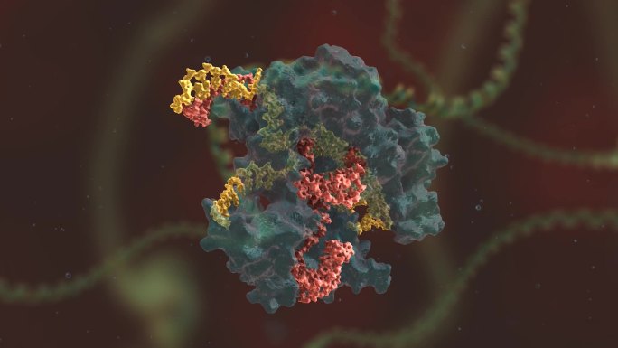 链条 基因编辑 DNA 基因工程