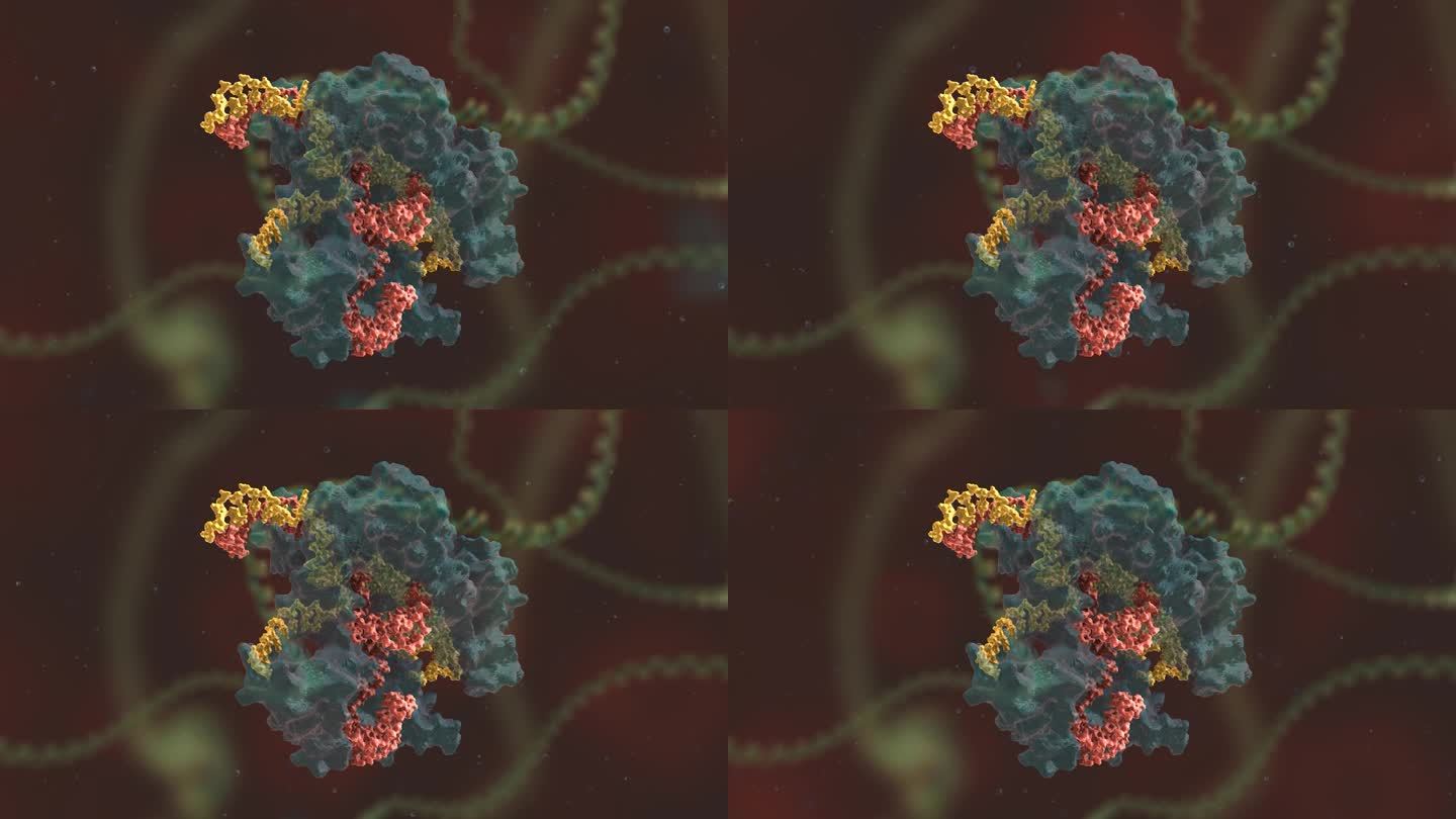 链条 基因编辑 DNA 基因工程