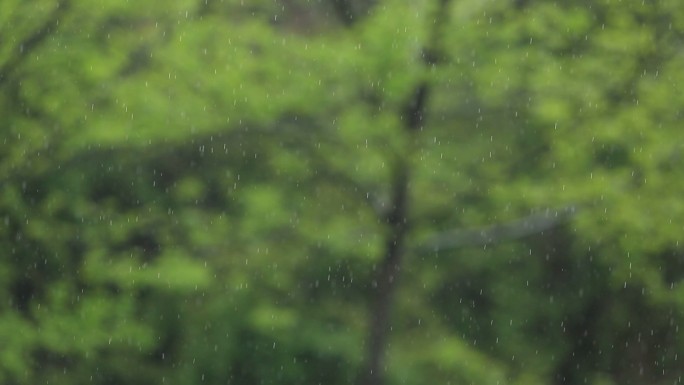 乡村下雨