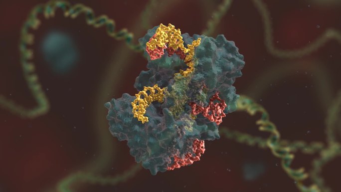 三维动画 基因编辑 DNA 基因工程