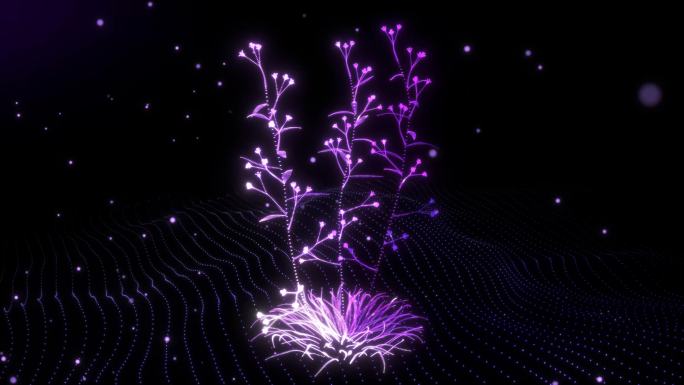 4K唯美紫色花朵生长粒子动画梦幻舞蹈背景