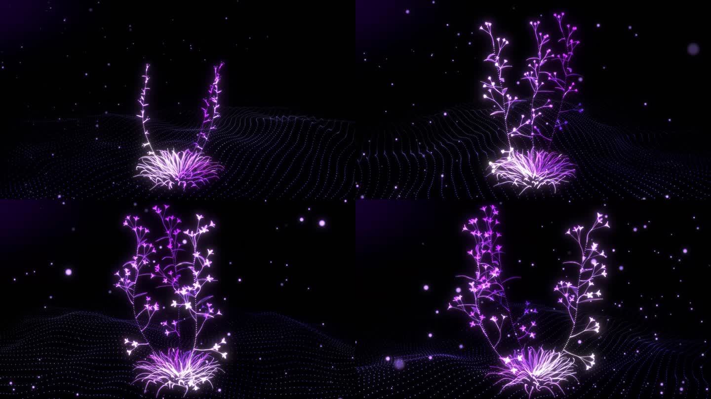 4K唯美紫色花朵生长粒子动画梦幻舞蹈背景