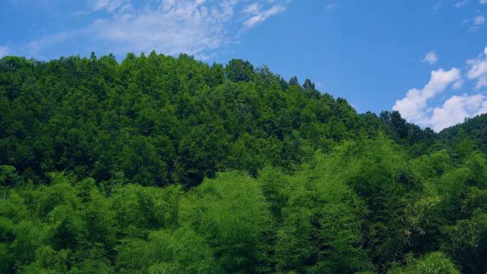 4K重渡沟唯美竹林风景 度假村 唯美天空