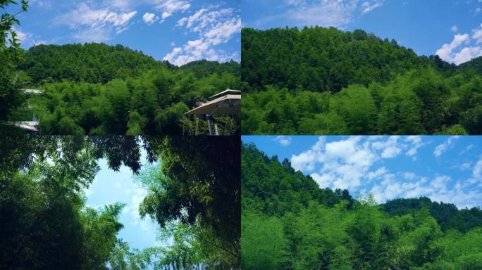 4K重渡沟唯美竹林风景 度假村 唯美天空