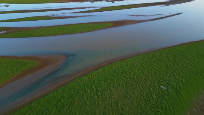 干涸的鄱阳湖河床大草坪