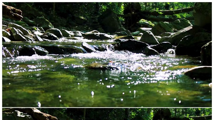 唯美原生态森林小溪流水