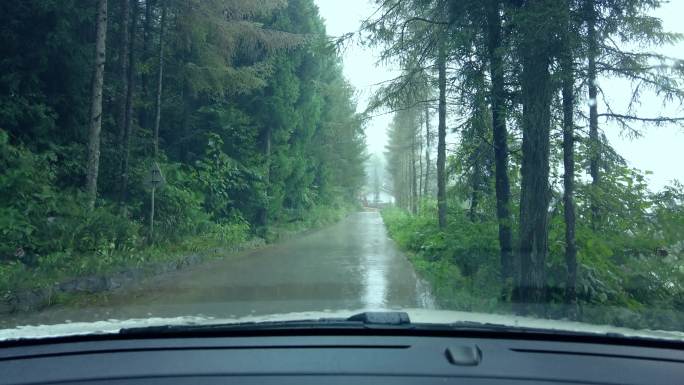 驾驶员在雨中查看森林道路