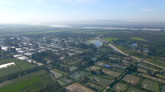 淡水鱼养殖基地4k航拍素材