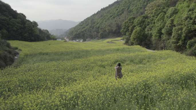 油菜花田拍照的人