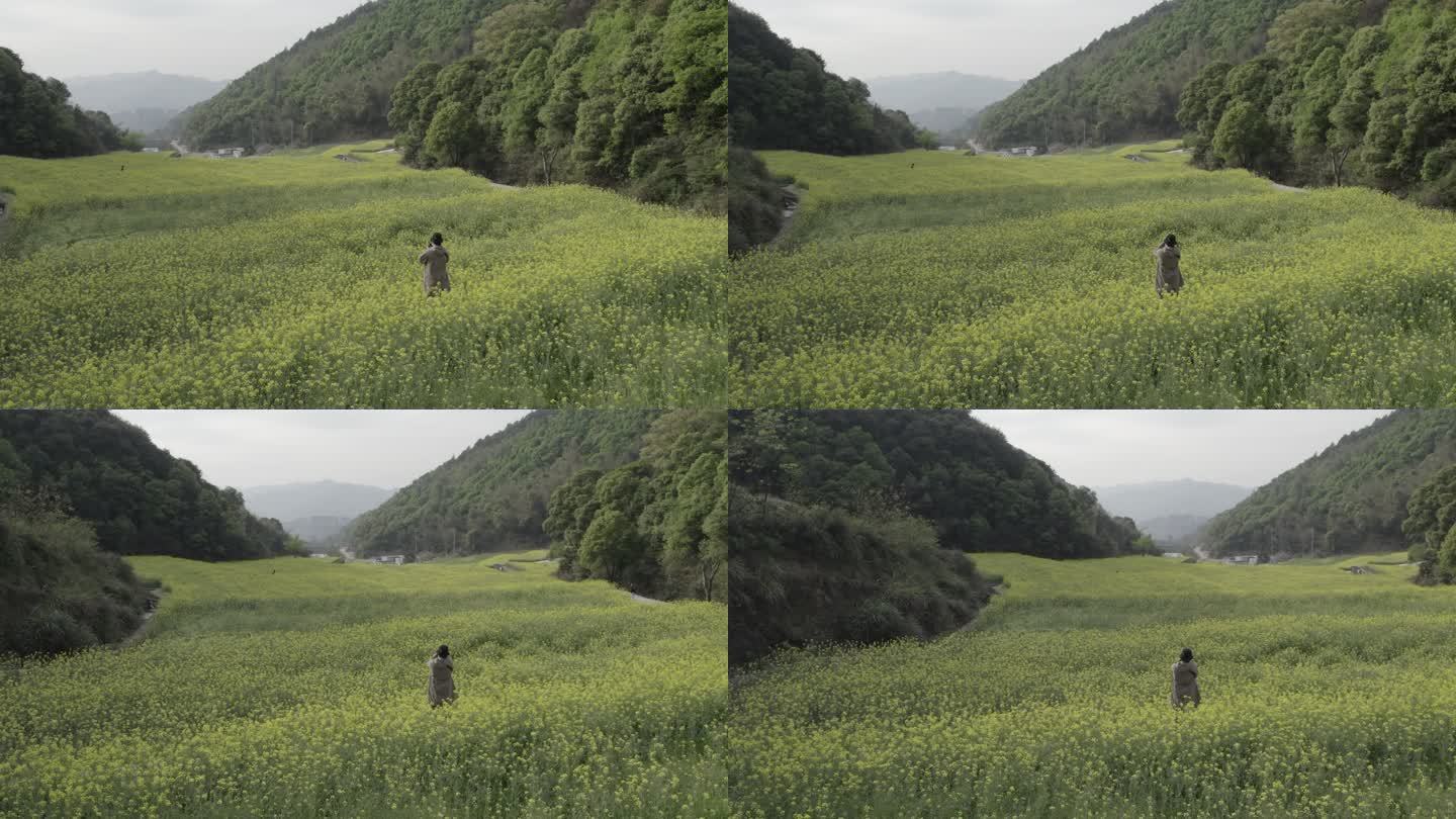 油菜花田拍照的人