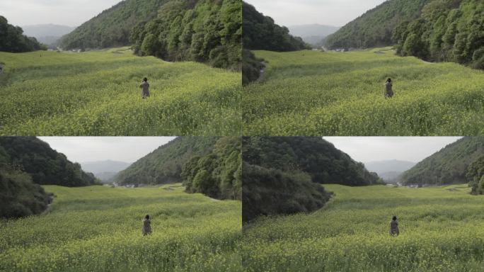 油菜花田拍照的人