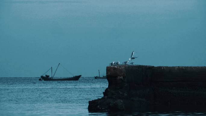 大海 渔船 海鸥