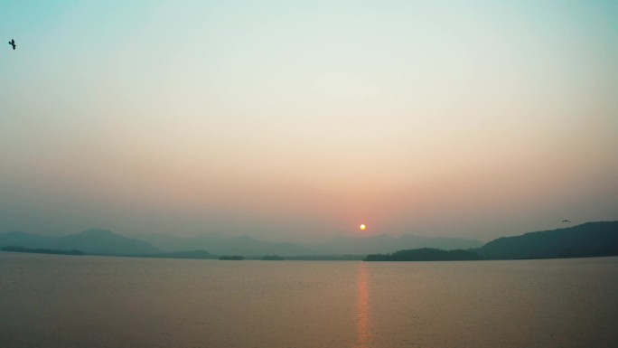 杭州西湖夕阳 飞鸟 航拍