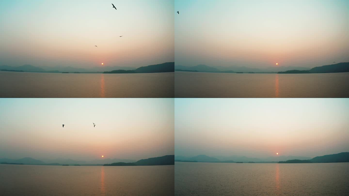 杭州西湖夕阳 飞鸟 航拍