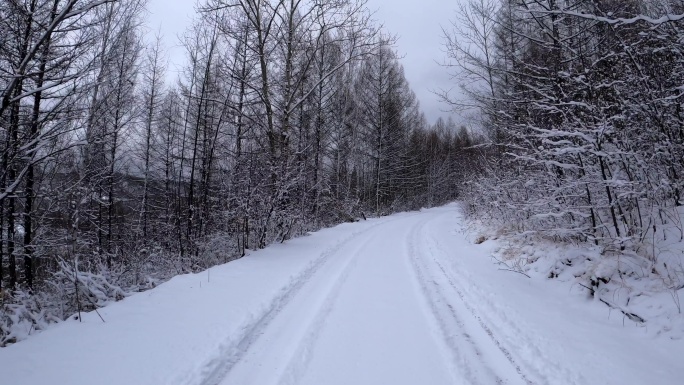 行驶在大兴安岭森林雪路上