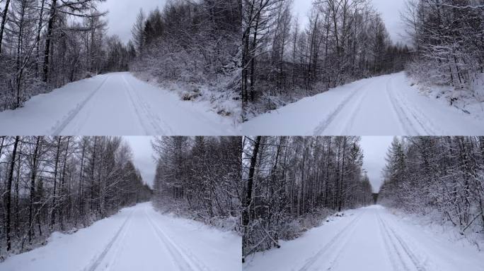 行驶在大兴安岭森林雪路上