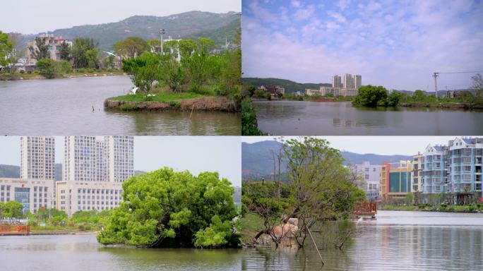 玉环大麦屿庆澜公园二期游步道