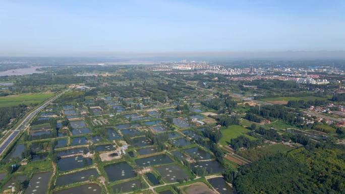 淡水鱼养殖基地4k航拍素材