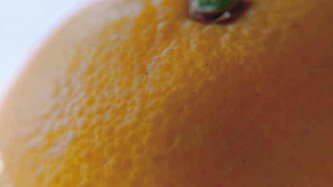 T99橙子柑橘农民橘子水果园农业乡村丰收