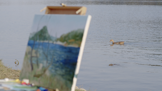 湖边鸭子和画板