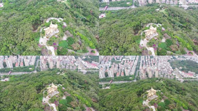 泉州郑成功雕像航拍大坪山看市区阴天丰泽区