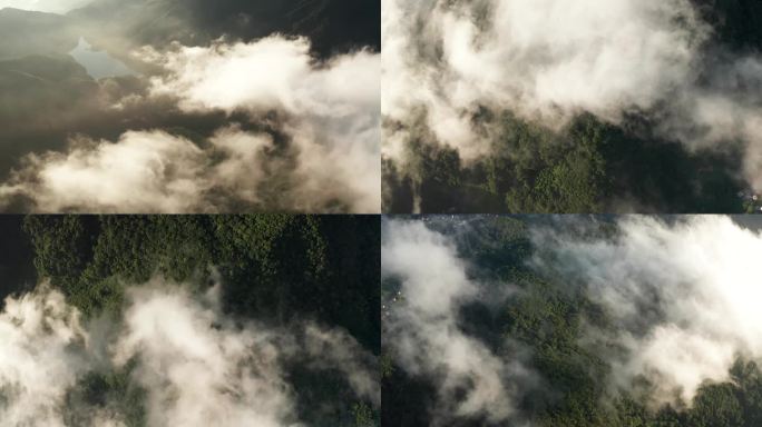 云雾下的绿色森林