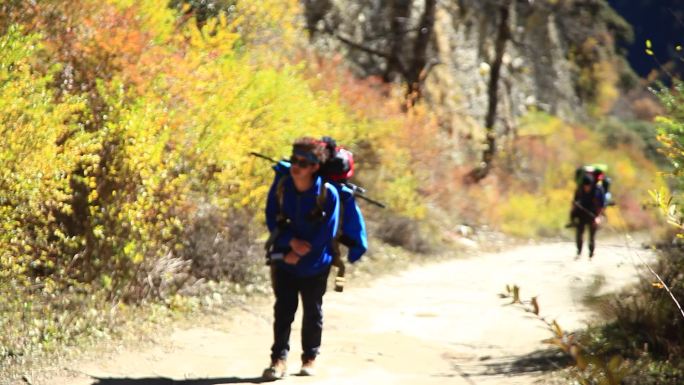 男子徒步旅行背包旅行背包睡袋背包穿过树林