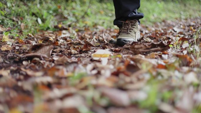 脚步在树叶里踩过 大片树叶踩过 秋天树叶