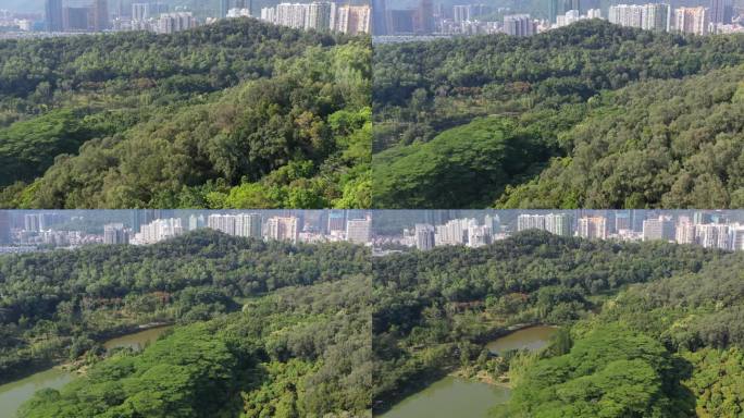 绿化山林与城市交融