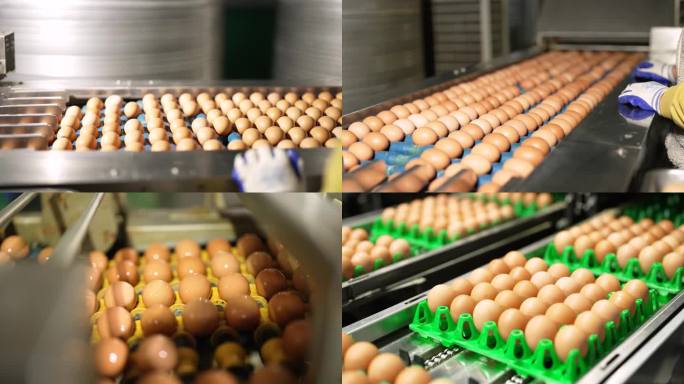 鸡蛋自动化生产加工流水线