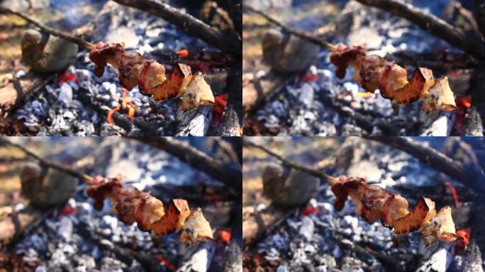 户外烤肉 木签烤肉 炭火烤肉 生态烤肉
