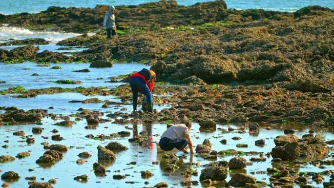 实拍海岸风车风光落潮赶海人