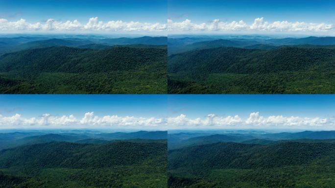 长白山 延边州 森林 绿水青山