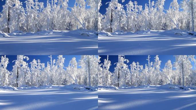 大兴安岭冬季雪林银装素裹